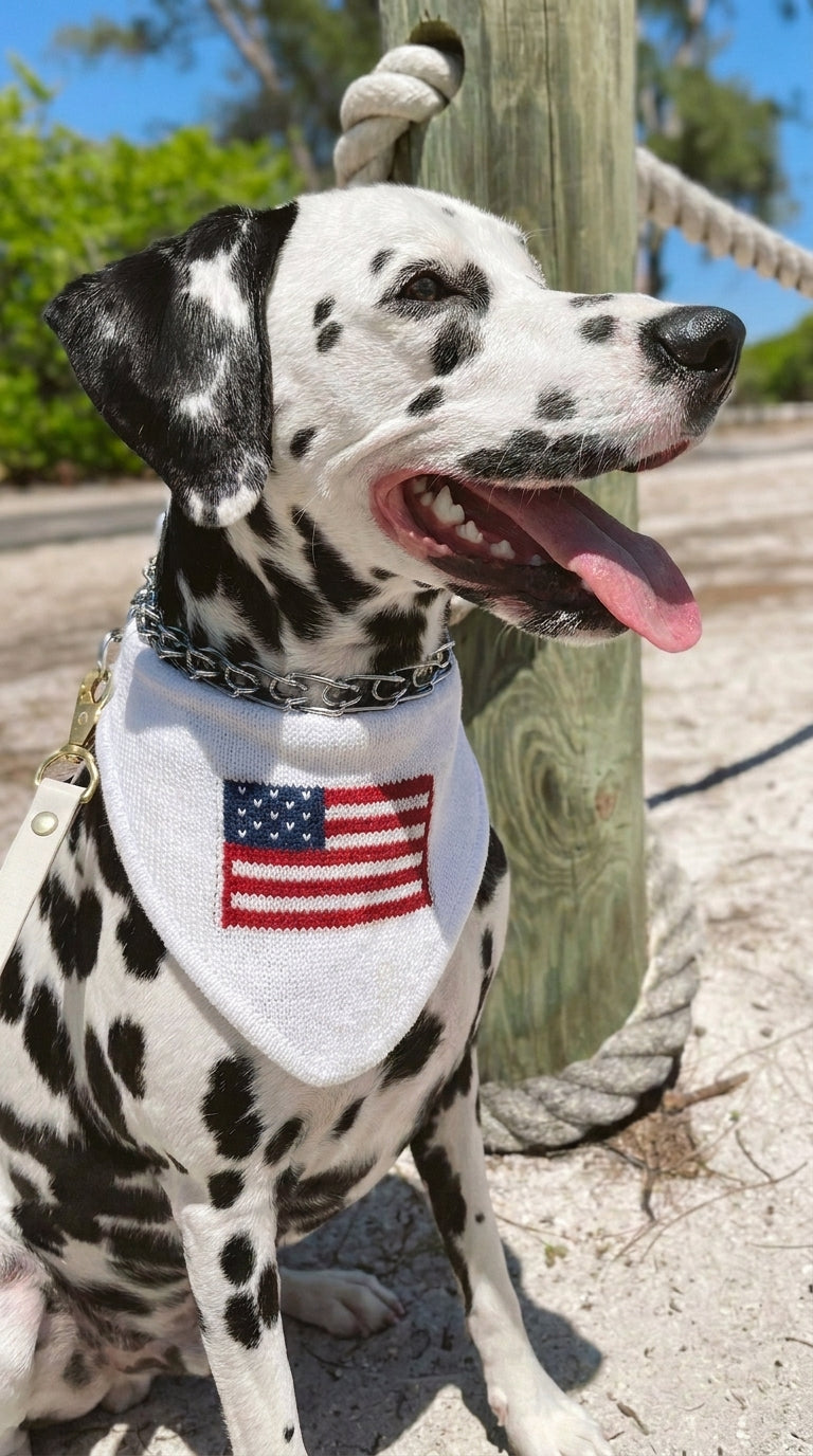 Troovy Special Edition Patriotic Dog Bandana
