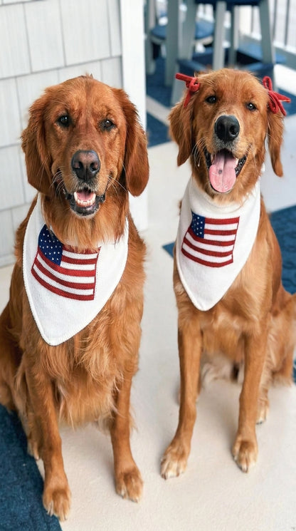 Troovy Special Edition Patriotic Dog Bandana