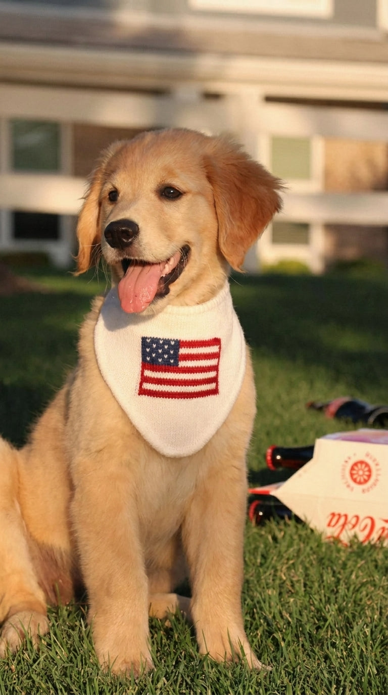 Troovy Special Edition Patriotic Dog Bandana