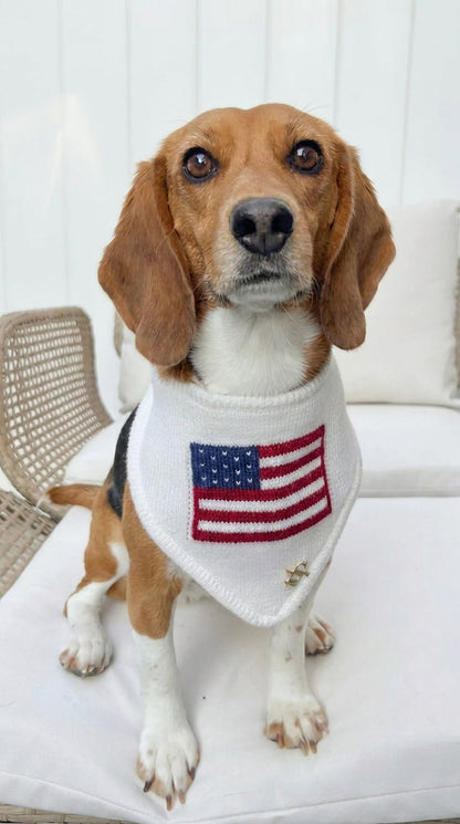 Troovy Special Edition Patriotic Dog Bandana